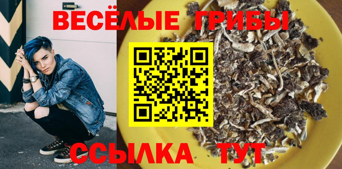 Псилоцибиновые грибы мицелий Усинск